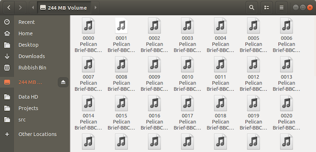 Screenshot of USB drive containing audiobook files